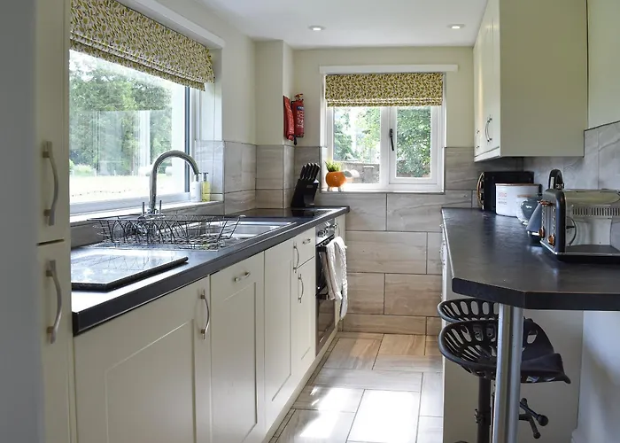 Finkle * 普利布里奇